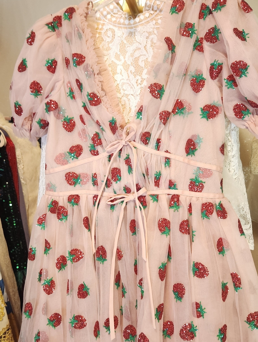 Lirika Matoshi Strawberry Dress Bundle Size XL & Pet M - Picture 8 of 16